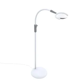 Daylight Company Magnificent Pro – 3-in-1 Magnifying Lamp