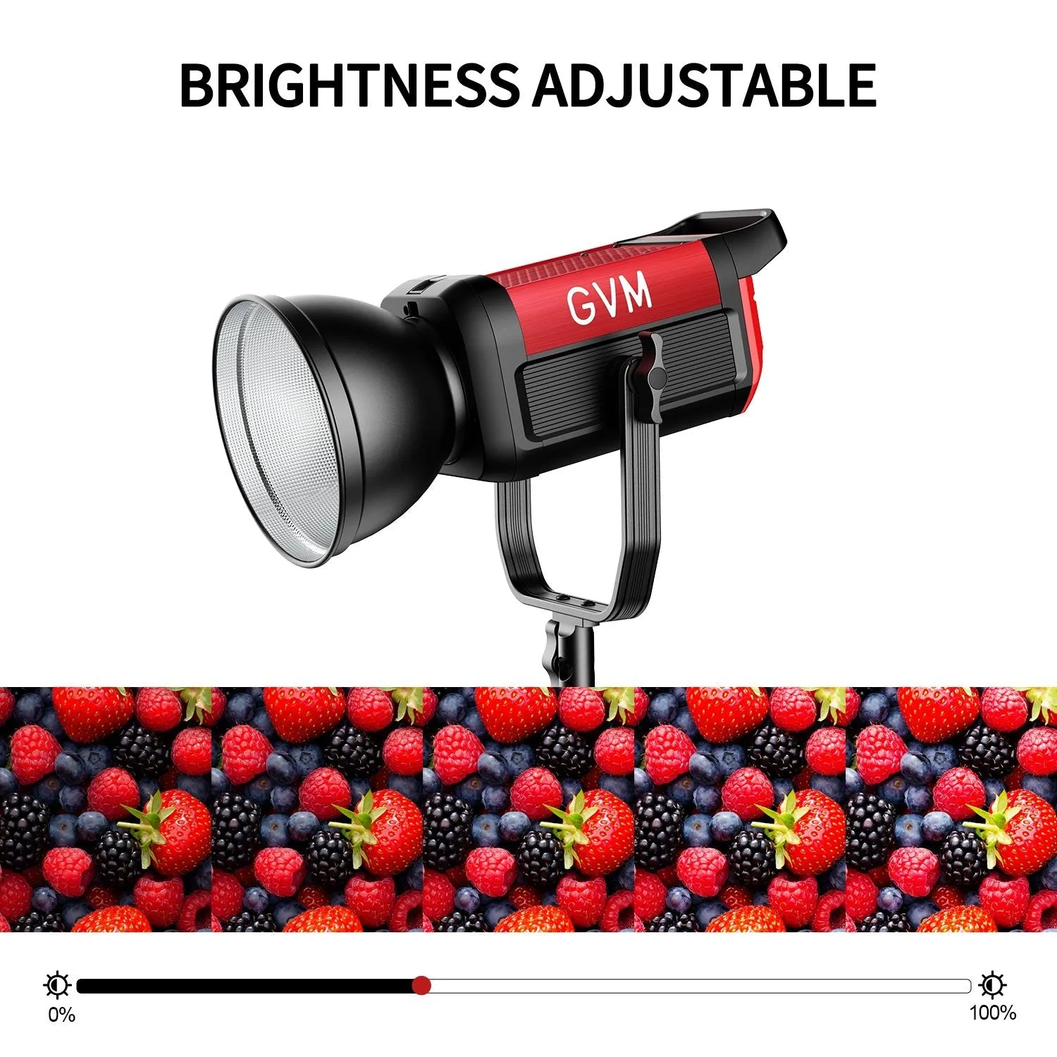 200W Bi-Color Monolight Kit with Softbox - Set of 2 for the GVM PRO-SD200B