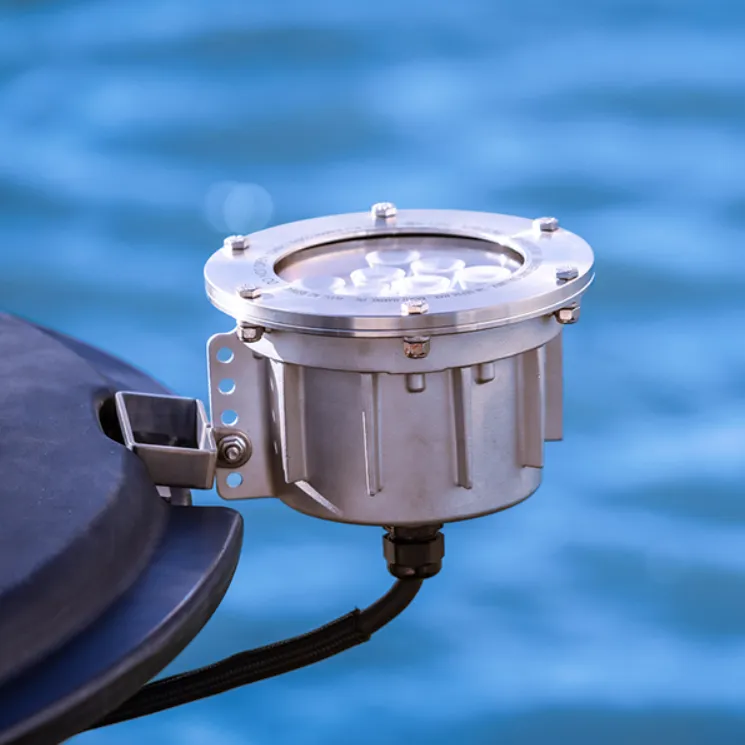 Kasco® RGBW Lighting