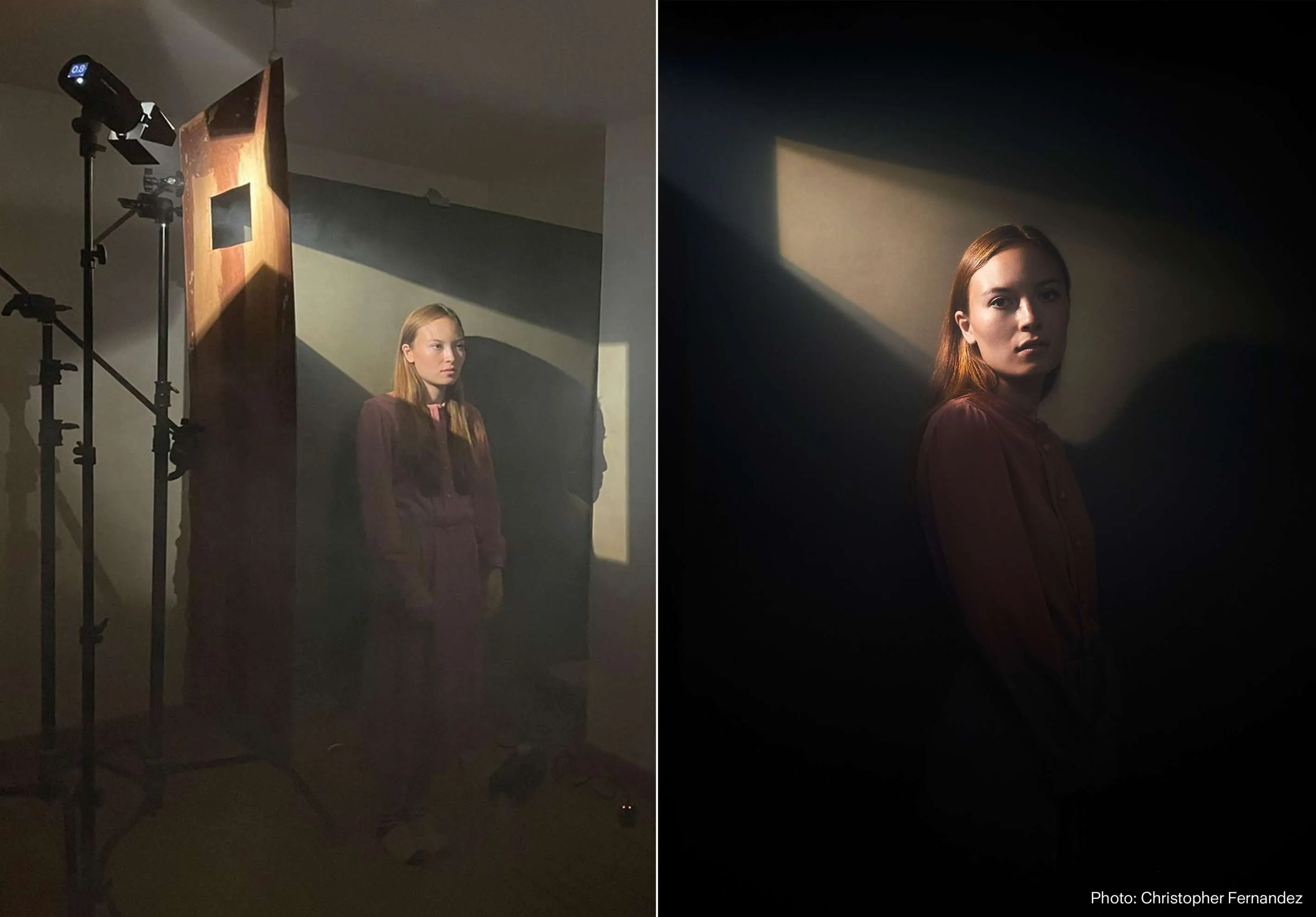 Profoto Clic Barndoor
