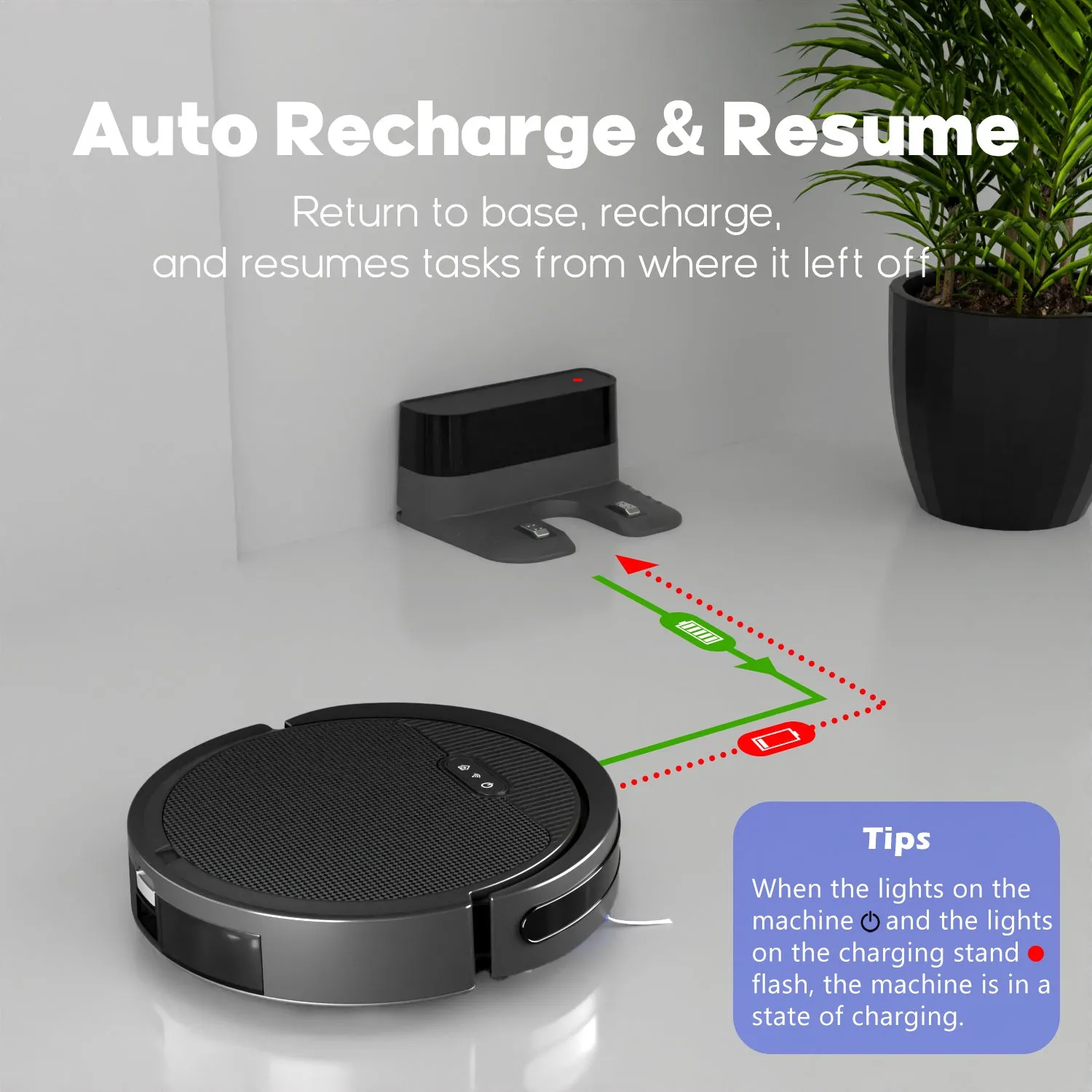 Robot Vacuum & Mop | 3-in-1 Smart Cleaner | 5000Pa Suction & Self-Charging