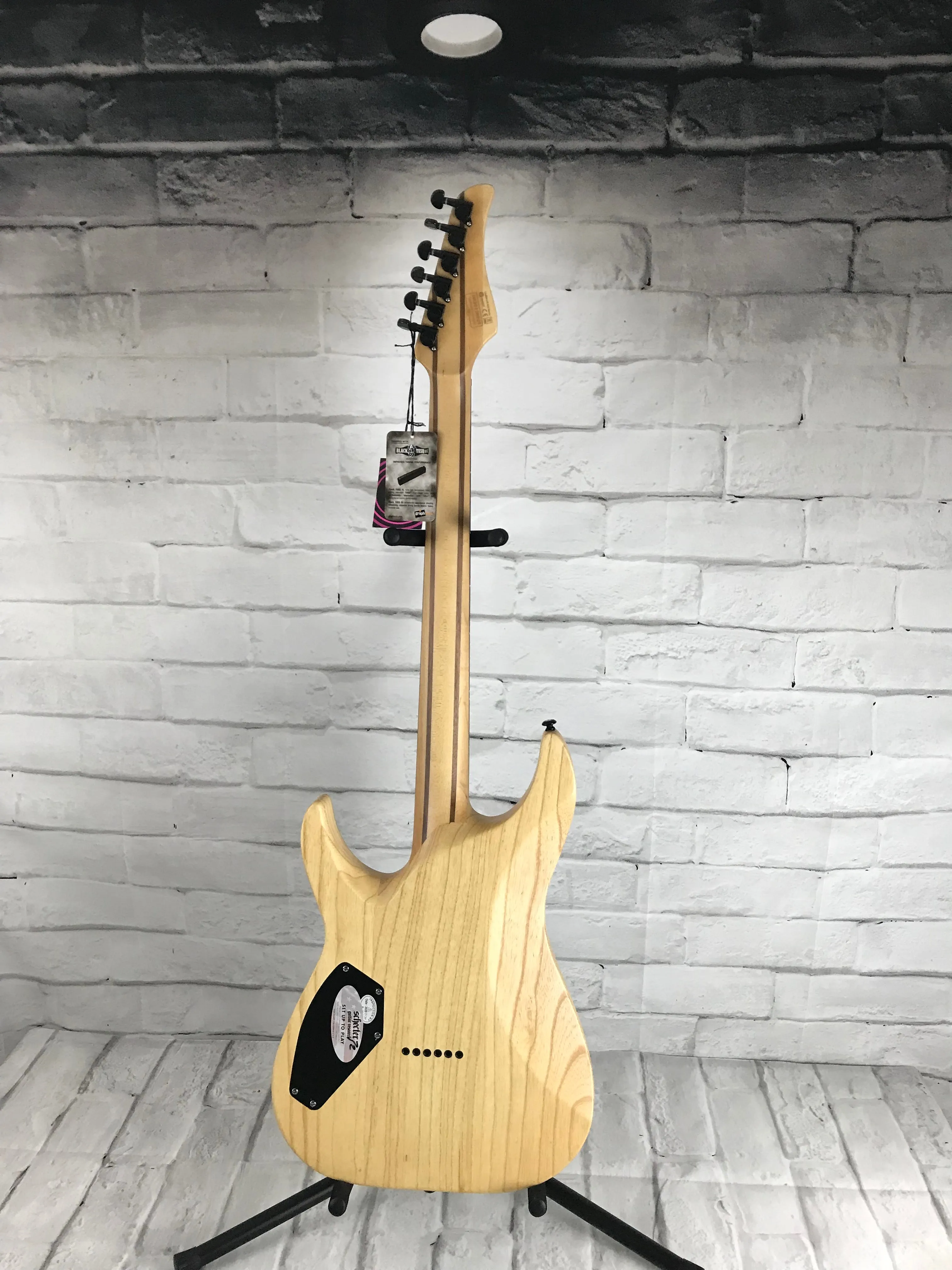 Schecter Reaper-6 Electric Guitar Bundle With Schecter SGR-1C Hardshell Case, Satin Sky Burst