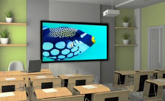 Stewart Filmscreen Deluxe WallScreen Fixed Frame 110" (54" X96") HDTV [16:9] WSDQ110HFHG5EZMX