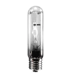 UHI-S175AQ/20 , 20,000K , T15 Aqualite Ushio 5001592  DISCONTINUED